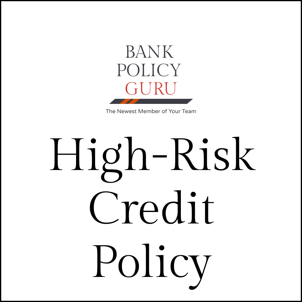 High-Risk Credit Policy – 19 Pages – 4300 Words